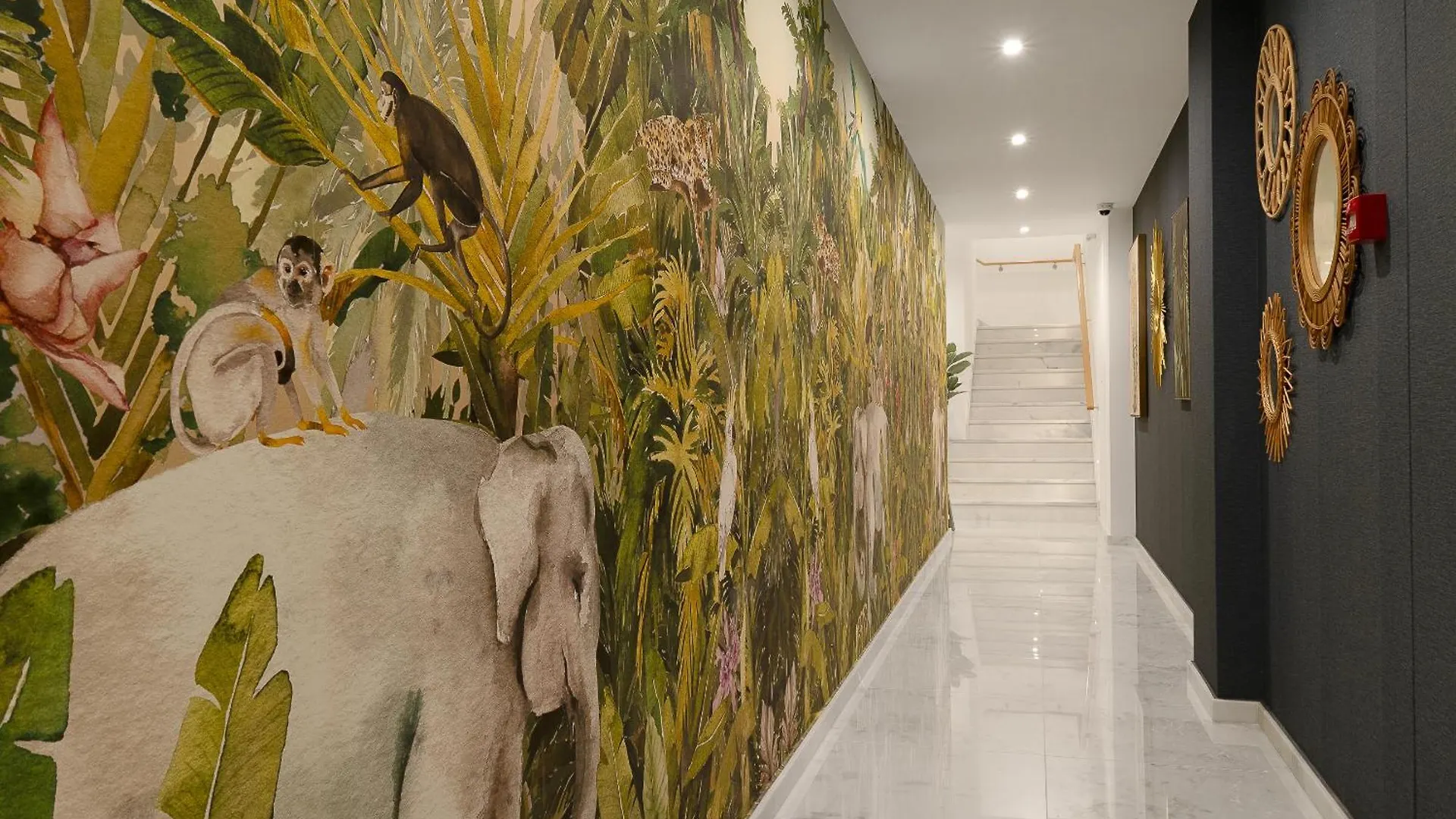 Safira Suites 301 Funchal  Portugal