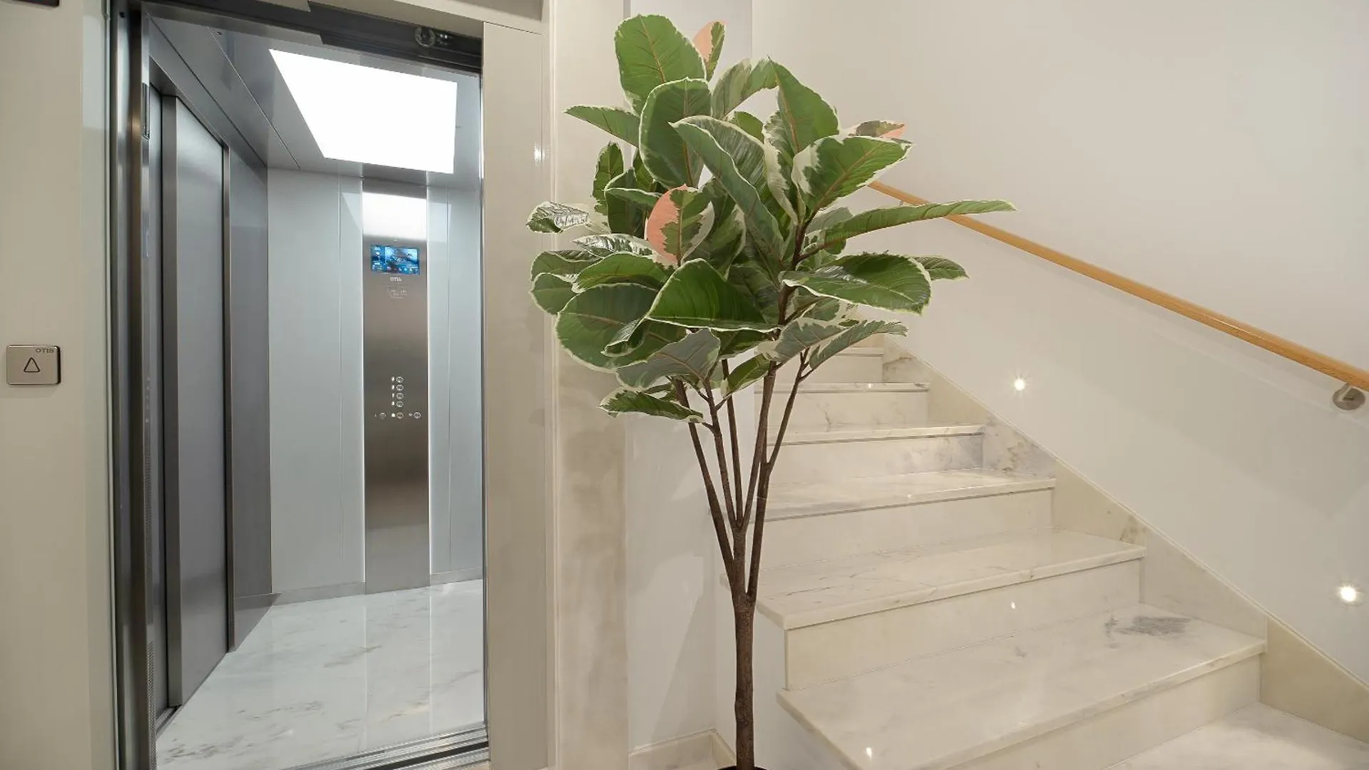 Safira Suites 301 Funchal  Apartment