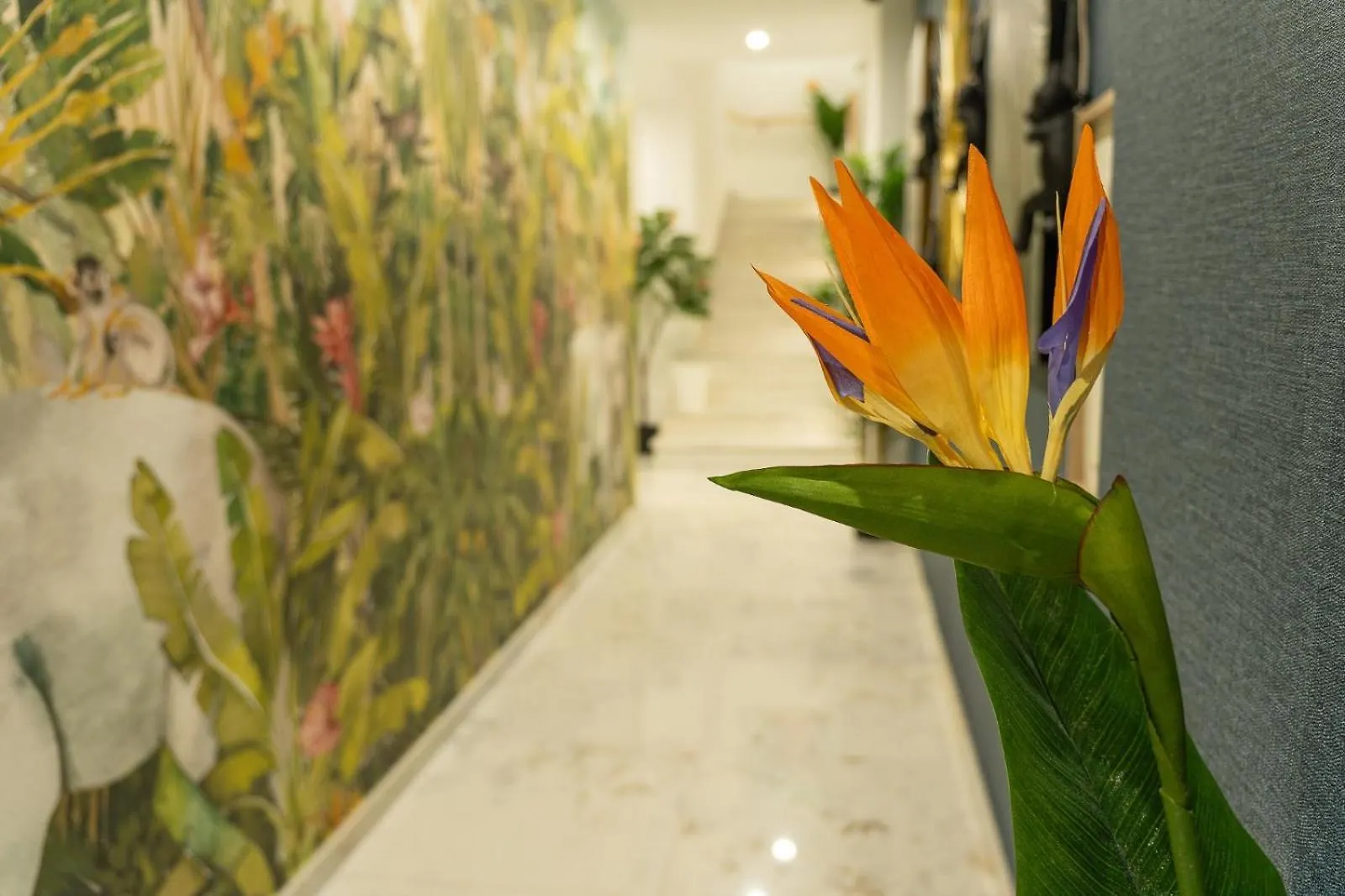 Safira Suites 301 Фуншал Апартаменты